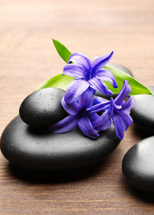 Hot Stone Massage: 1 hour
