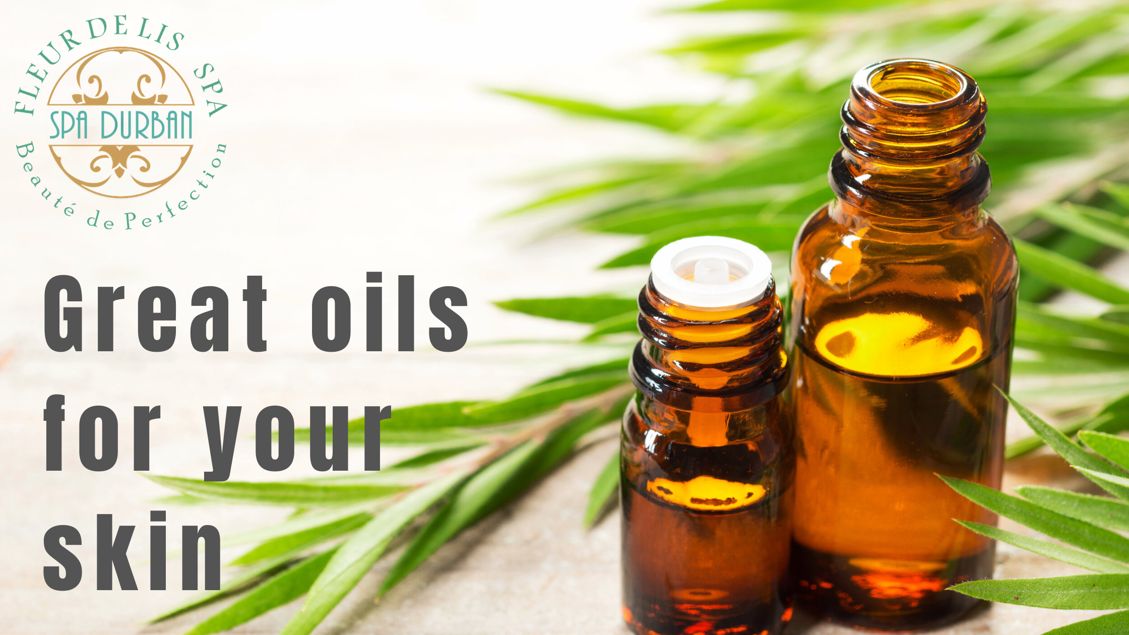 Great Oils for Your Skin: Dos & Don’ts!